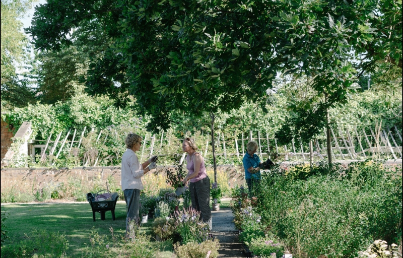 The Secret Garden, Glenfield Hospital